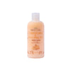 Pumpkin Spice and Everything Nice Body Wash 300ml